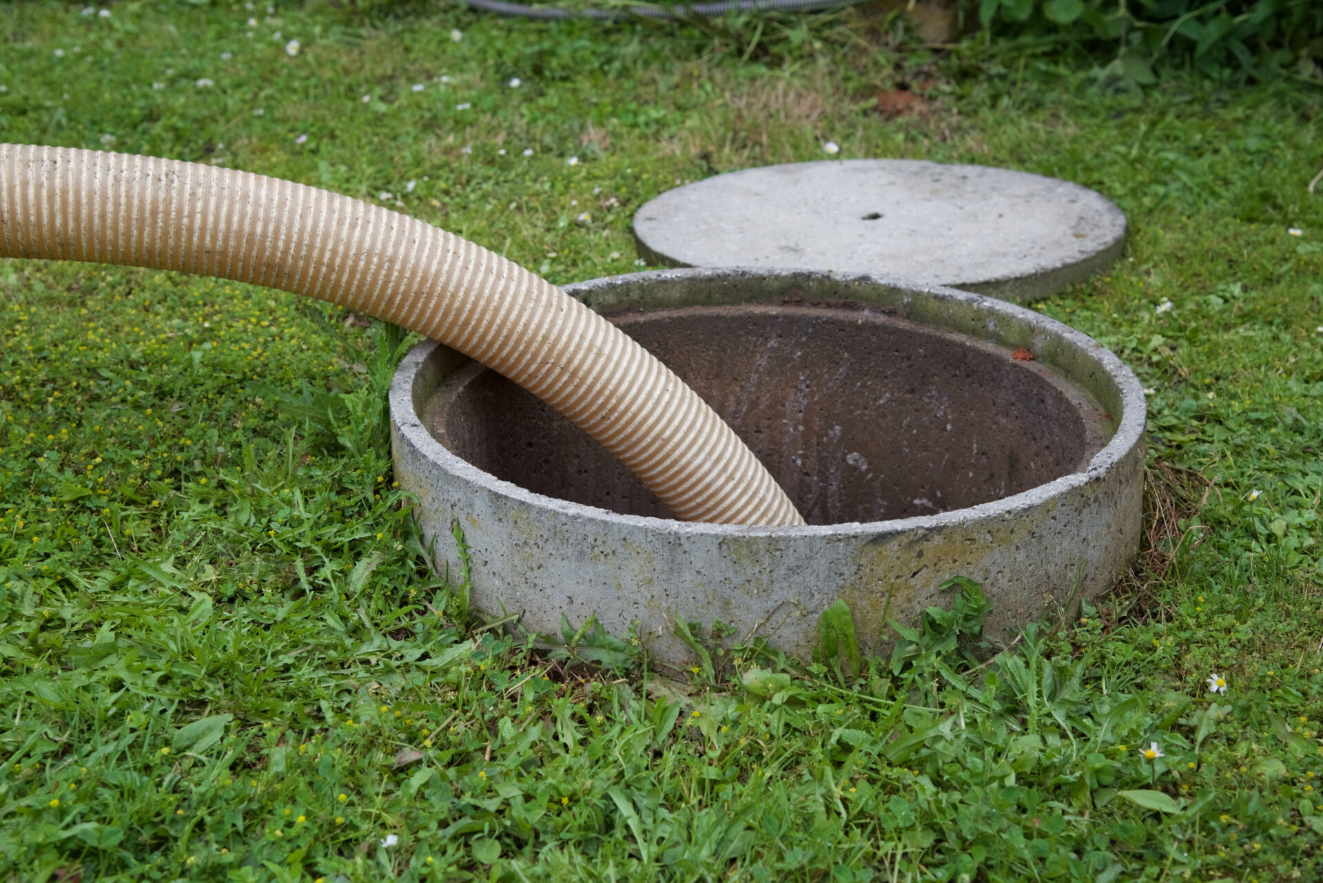 Signs You Need Septic Tank Pumping